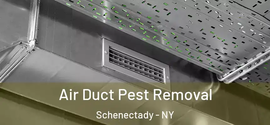 Air Duct Pest Removal Schenectady - NY