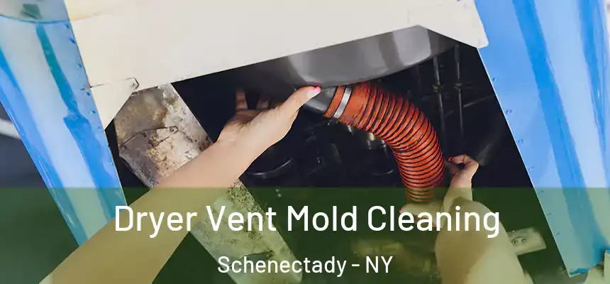  Dryer Vent Mold Cleaning Schenectady - NY