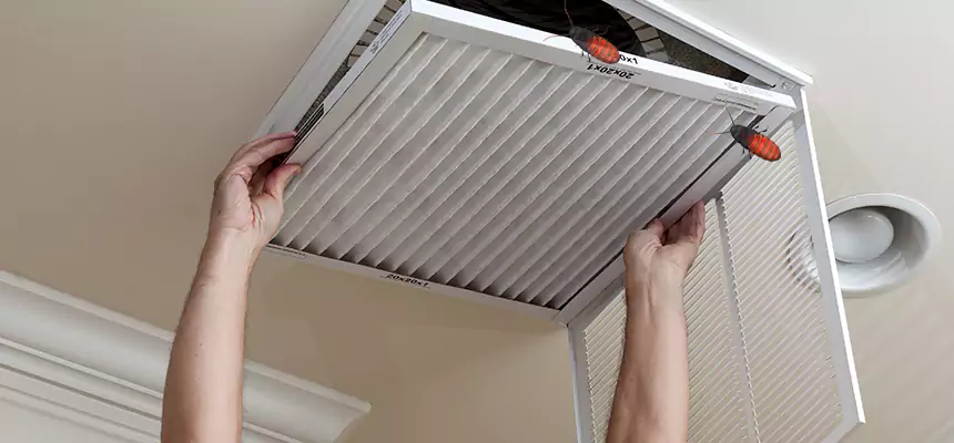 Our Insect Removal from Air Ducts Services in Schenectady, NY