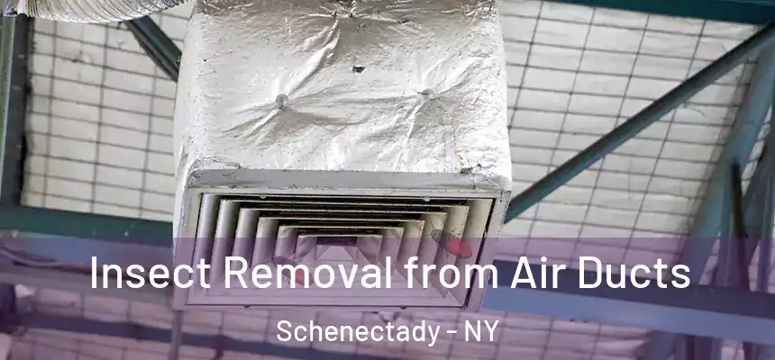 Insect Removal from Air Ducts Schenectady - NY