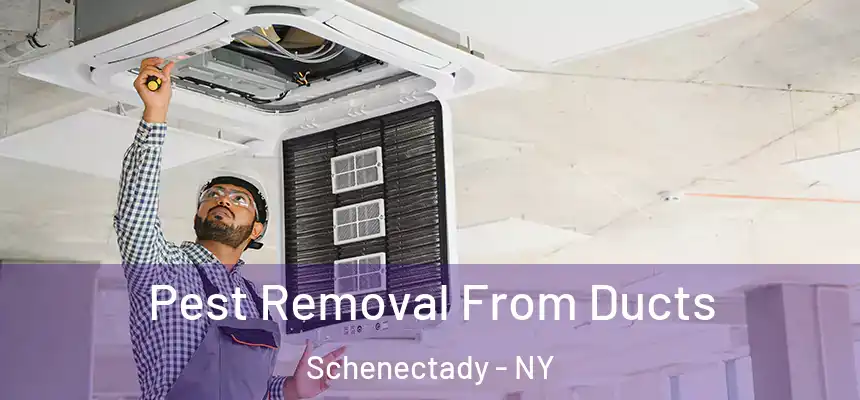  Pest Removal From Ducts Schenectady - NY