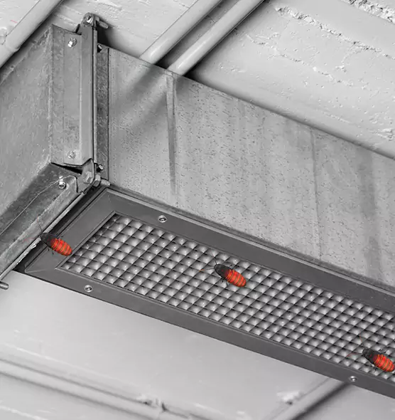 Affordable Insect Removal from Air Ducts in Schenectady, NY