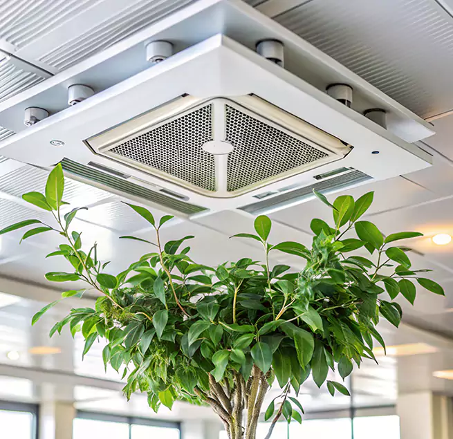 Why Homeowners & Businesses Trust Us in Schenectady, NY