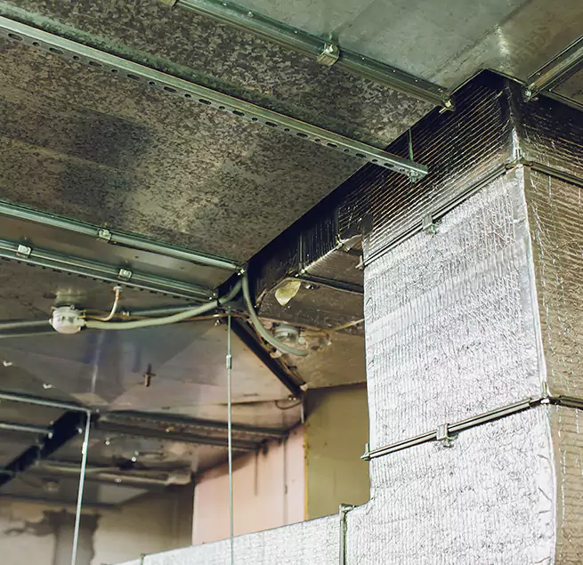 Why Homeowners & Businesses Trust Us in Schenectady, NY?